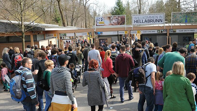Großer Ansturm im Tierpark Hellabrunn: Hier wollten viele Besucher die Eisbärenbabys sehen. Großer Ansturm im Tierpark Hellabrunn: Hier wollten viele Besucher die Eisbärenbabys sehen.
