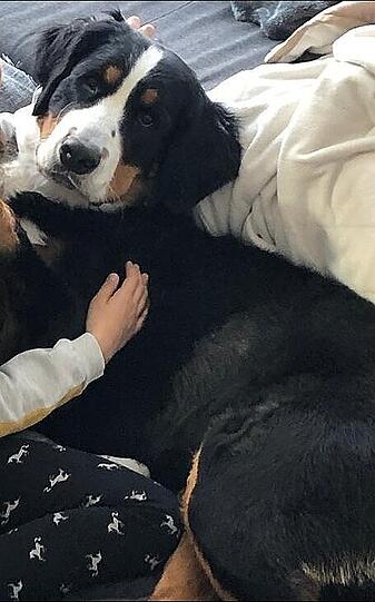 Mala