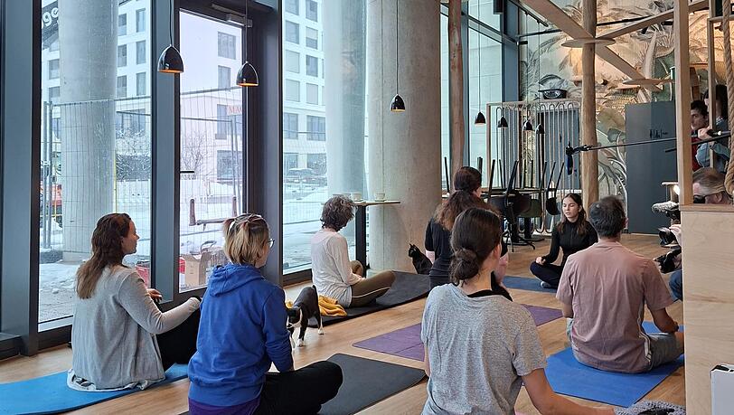 Die Katzen schauen sich das Yoga aus n&auml;chster N&auml;he an &ndash; oder aus sicherer Distanz von ihrem Catwalk aus.