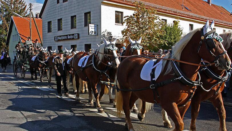 Prächtig herausgeputzt sind diese Pferde, die einen Zenspänner ziehen Prächtig herausgeputzt sind diese Pferde, die einen Zenspänner ziehen