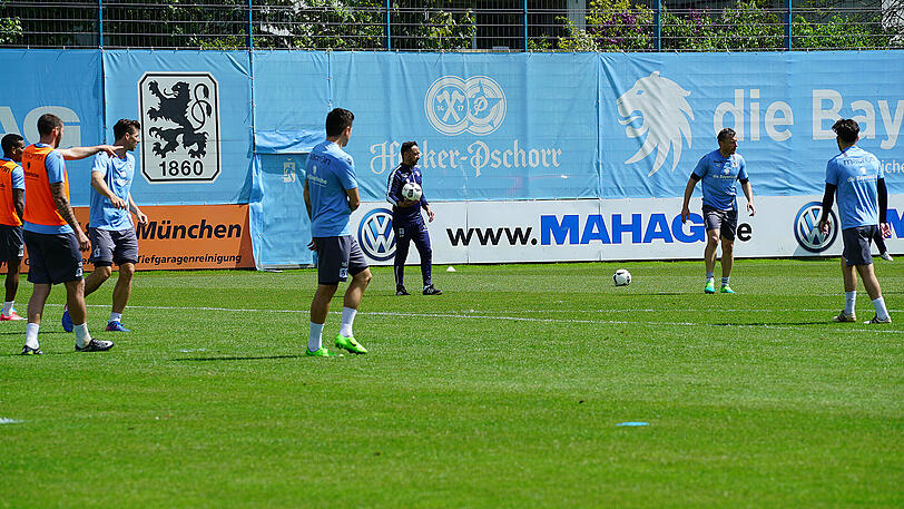 Mitten drin: Vitor Pereira.