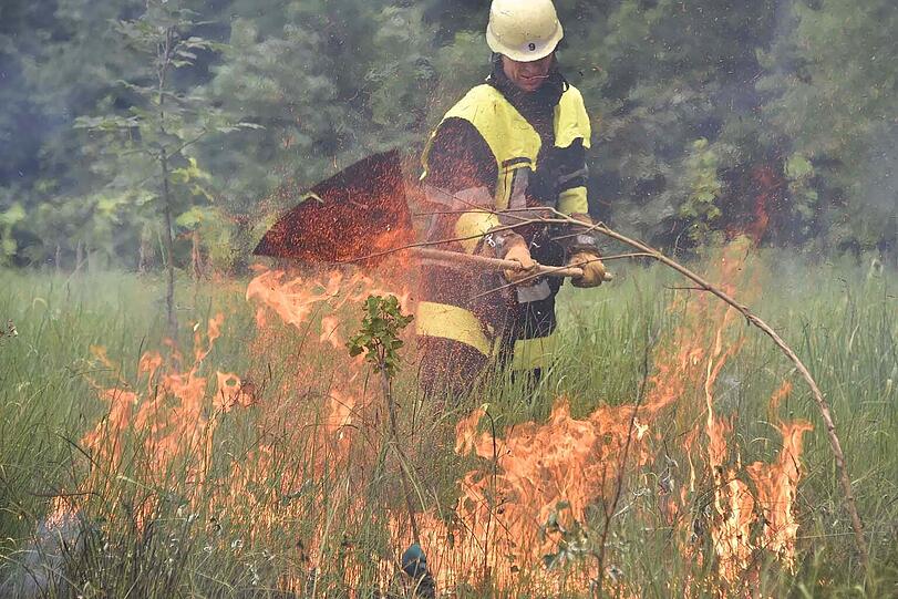 Die Feuerwehr kämpfte am Mittag gegen einen Waldbrand im Münchner Osten.