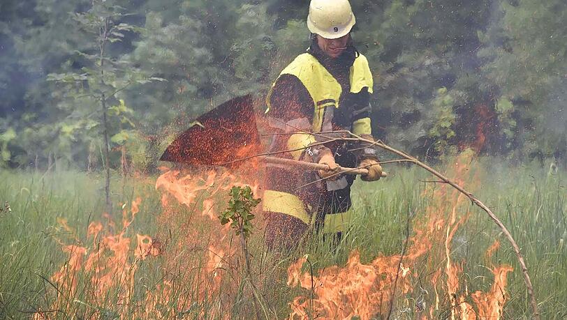 Die Feuerwehr kämpfte am Mittag gegen einen Waldbrand im Münchner Osten. Die Feuerwehr kämpfte am Mittag gegen einen Waldbrand im Münchner Osten.