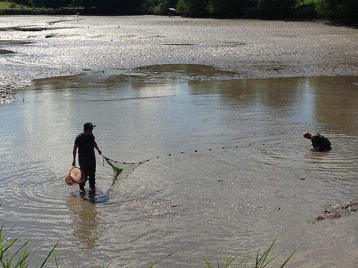Die Suche nach Alligator-Schildkröte "Lotti" geht weiter. Hier sehen Sie die Bilder vom Badesee in Irsee.