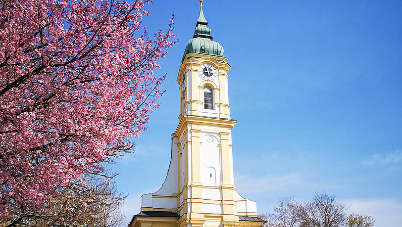 Sankt Michael in voller Blüte. Sankt Michael in voller Blüte.