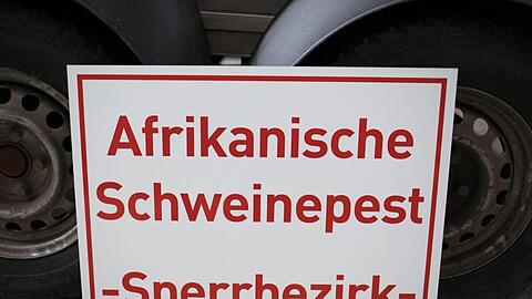 Ein Schild mit der Aufschrift "Afrikanische Schweinepest - Sperrbezirk-". Foto: Frank Rumpenhorst/dpa/