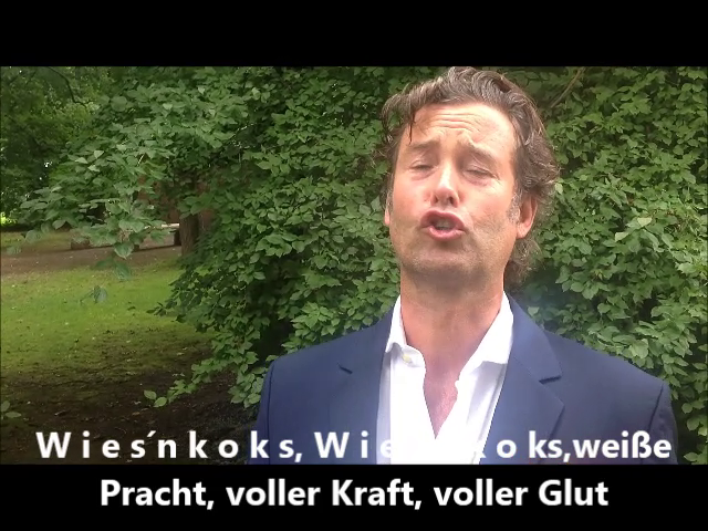 Bilder aus dem Wiesnkoks-Video