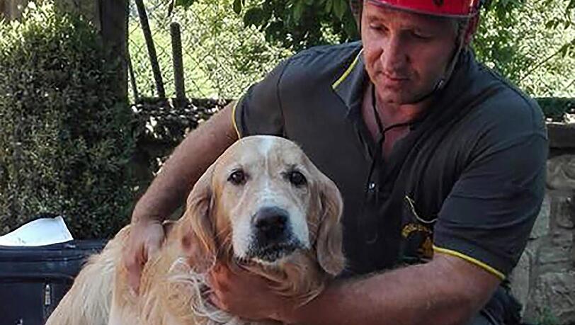 Romeo wurde nach zehn Tagen aus den Trümmern befreit. Romeo wurde nach zehn Tagen aus den Trümmern befreit.