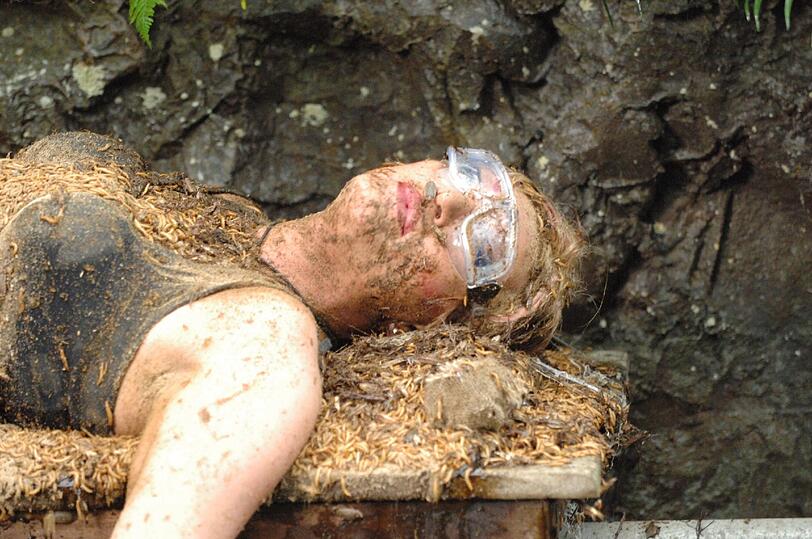 Bilder aus der letzten Dschungelcamp-Staffel.