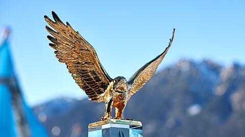 Wer holt sich den goldenen Adler? Österreich ist klar favorisiert.