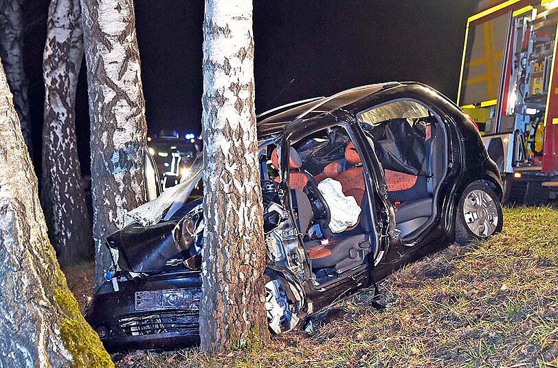 Ein Reh flog nach dem Zusammenstoß mit einem Wagen durch die Windschutzscheibe eines anderen Autos. Die Fahrerin wurde schwer verletzt und starb noch am selben Abend im Krankenhaus.