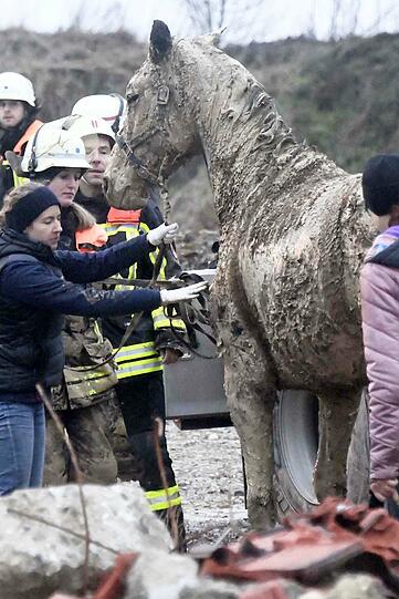 Die Feuerwehr Taufkirchen hat am Sonntag einen ungewöhnlichen Einsatz souverän erledigt: Das im Matsch versunkene Pferd wurde unversehrt gerettet.
