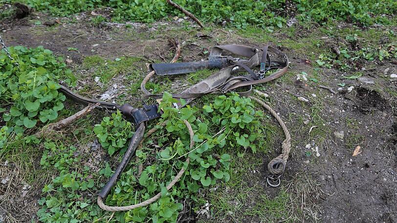 Am Schloss Neuschwanstein wurden bei einem schweren Unfall mit einer Pferdekutsche vier Menschen verletzt - die Fotos vom Unfallort...