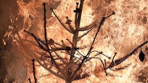 Ein Weihnachtsbaum brennt lichterloh w&auml;hrend einer Vorf&uuml;hrung unter realistischen Bedingungen in einem nachgebauten Zimmer auf dem &Uuml;bungsgel&auml;nde einer Feuerwehrakademie. (Symbolbild)