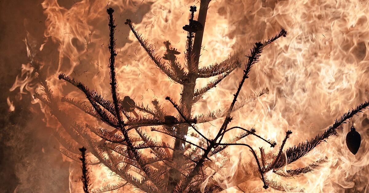Bei-Christbaumbrand-in-Bogenhausen-Vater-und-Sohn-verletzt-50-000-Euro-Schaden