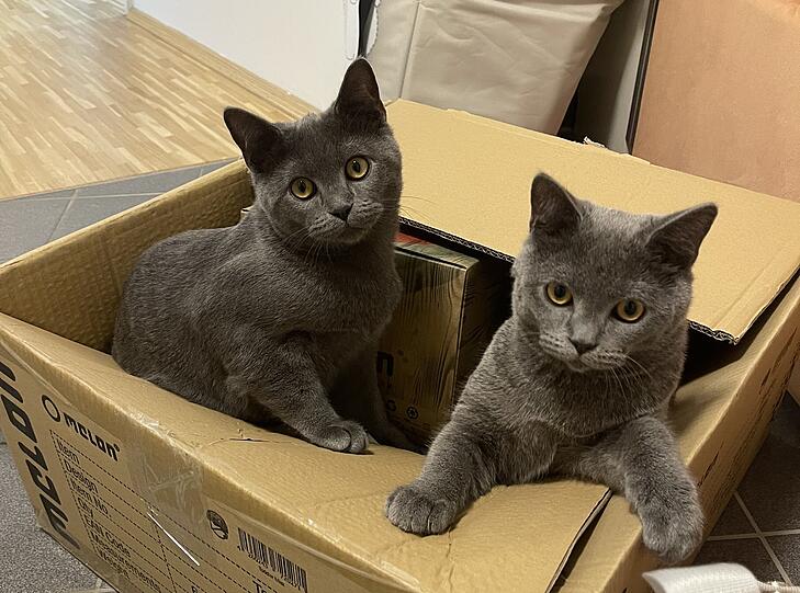 Bruno und Karl
