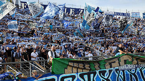 Warben zuletzt w&auml;hrend der Partien f&uuml;r eine Mitgliedschaft: Die Fans des TSV 1860.