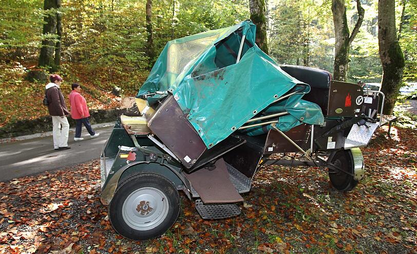 Bei einem Pferdekutschen-Unfall sind am Montag auf dem Weg zum Schloss Neuschwanstein neun Personen verletzt worden. Die durchgebrannten Pferde wurden eingeschläfert.