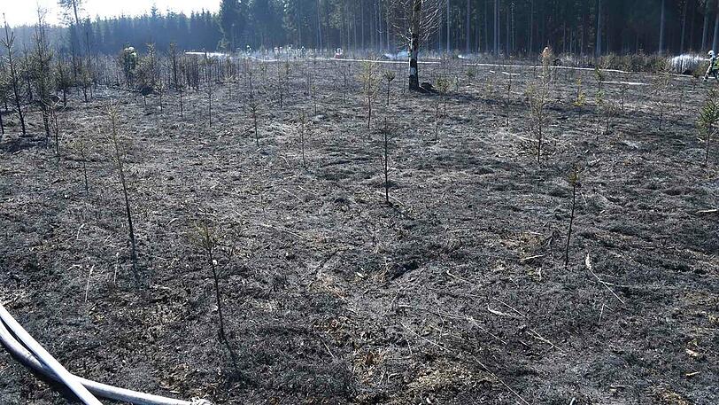 Insgesamt 110 FEuerwehrleute waren im Einsatz, nach einer Stunde waren die Flammen gelöscht.