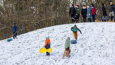 Viele Kinder vergn&uuml;gten sich mit ihren Eltern beim Rodeln.