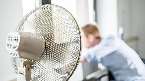 Jetzt aber schnell! Wer noch einen Ventilator möchte, sollte sich mit dem Kauf sputen. In vielen Teilen Bayerns sind die Geräte bereits ausverkauft.