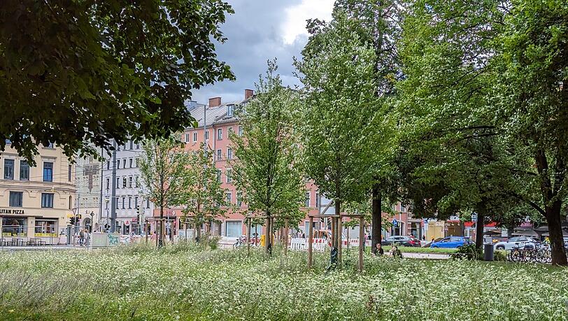 Bis vor Kurzem noch Baustelle, jetzt Wildblumen unter Bäumen. Eine kleine grüne Oase. Bis vor Kurzem noch Baustelle, jetzt Wildblumen unter Bäumen. Eine kleine grüne Oase.