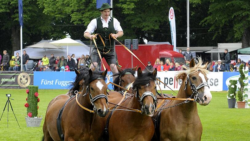 Rumpel, donner: Die Oberländer sind auch in diesem Jahr im Schauprogramm der Pferd International zu sehen. Rumpel, donner: Die Oberländer sind auch in diesem Jahr im Schauprogramm der Pferd International zu sehen.