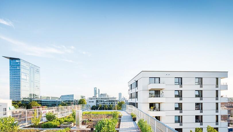 Der Domagkpark der Wogeno in Schwabing. Der Domagkpark der Wogeno in Schwabing.