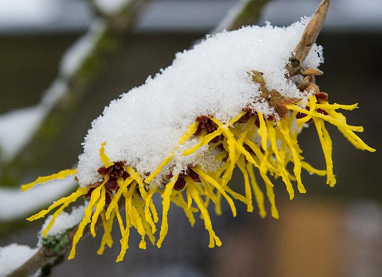 Wintereinbruch in Bayern am meteorologischen Frühlingsanfang.