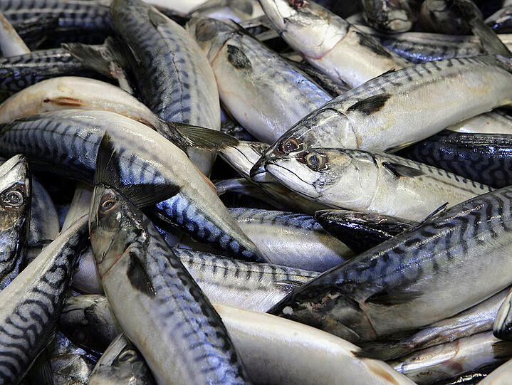 In Bayerns Fischzuchtbetrieben sind im Jahr 2014 gut 6200 Tonnen Speisefisch erzeugt worden.