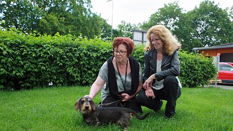 Der Dackel mit seiner neuen Besitzerin Brigitte S. und Eveline Kosenbach vom Tierschutzverein.