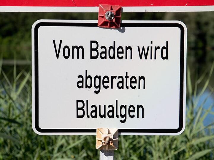 Ein Schild warn vor Blaualgen.