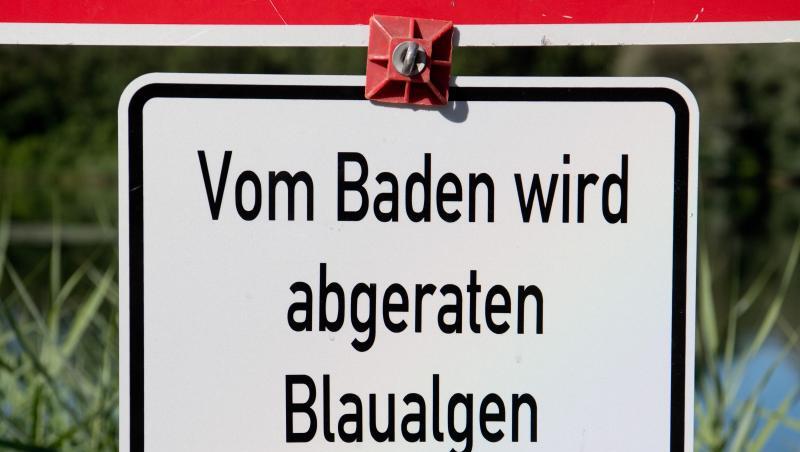 Ein Schild warn vor Blaualgen. Ein Schild warn vor Blaualgen.