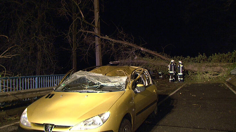 Ein beschädigtes Auto, das gegen einen umgestürtzen Baum gefahren war, steht am 29.03.2015 in Bakum (Niedersachsen). Das Fahrzeug war gegen einen umgestürtzen Baum geprallt.