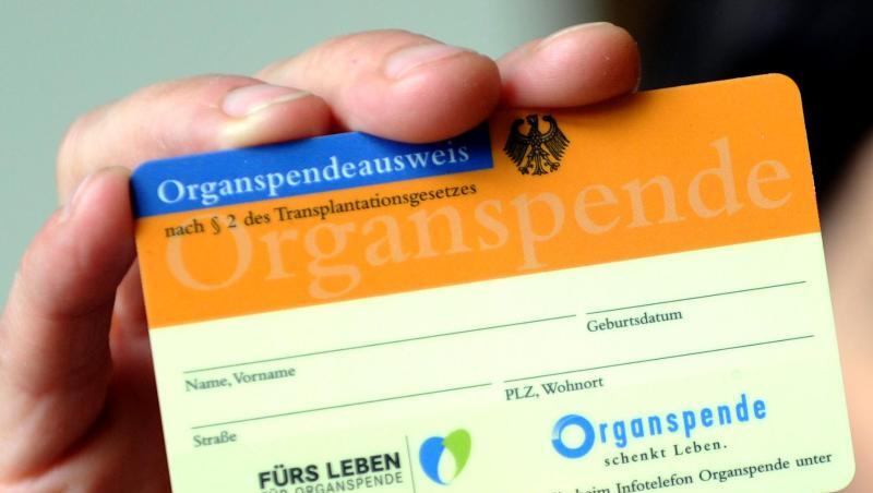Ein Organspendeausweis wird gezeigt. Foto: Caroline Seidel/Archiv Ein Organspendeausweis wird gezeigt. Foto: Caroline Seidel/Archiv