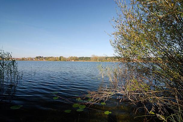 Der Obinger See. Der Obinger See.