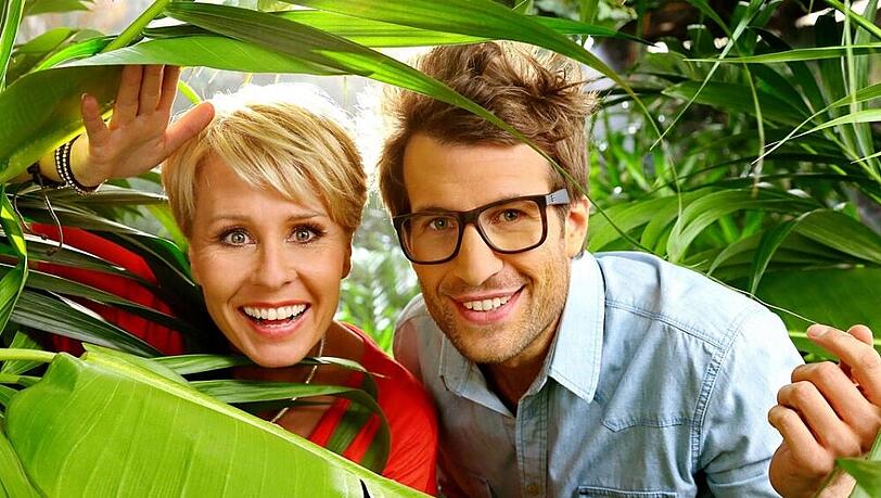 Sonja Zieltow und Dirk Bachs Nachfolger Daniel Hartwich im Dschungel Sonja Zieltow und Dirk Bachs Nachfolger Daniel Hartwich im Dschungel