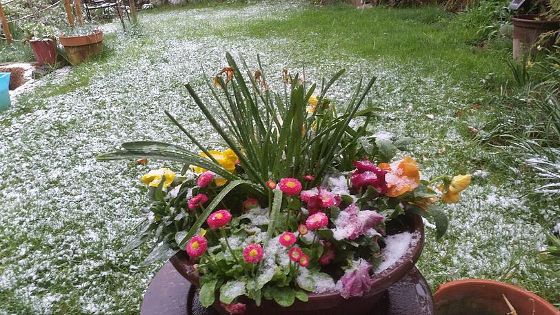 Ungläubig fotografierte AZ-Reporter Ralph Hub am Sonntagmorgen seinen Garten.