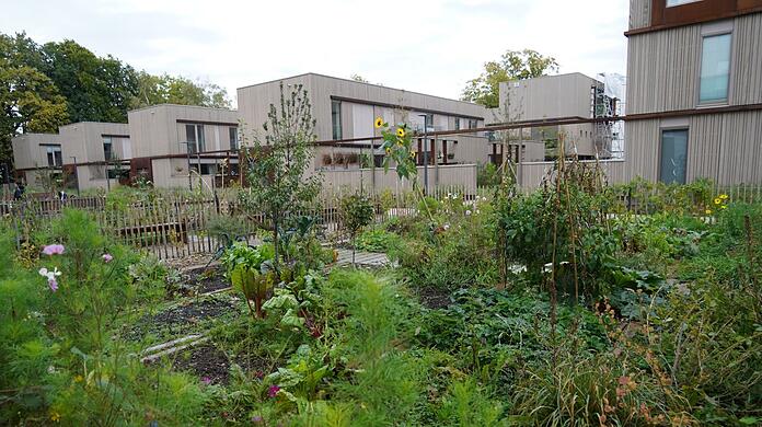 Holzbauten und eine vielfältige Bepflanzung, wie hier etwa in Form eines Gemeinschaftsgartens. Im Prinz-Eugen-Park hat die Stadt eine ökologische Mustersiedlung geschaffen.