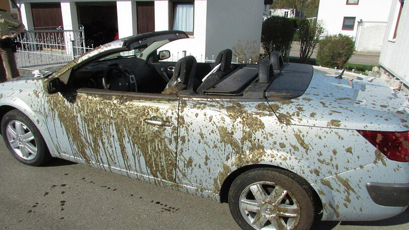 Nein, schön ist es nicht: Das mit Gülle überhäufte Cabrio.