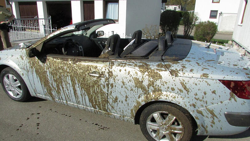 Nein, schön ist es nicht: Das mit Gülle überhäufte Cabrio.