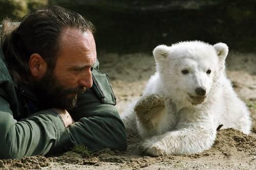 Pose für die Weltöffentlichkeit: Knut mit seinem Pfleger Thomas Dörflein, der dem Bären-Rummel stets skeptisch gegenüberstand.
