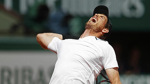 Andy Murray steht im Paris im Halbfinale.