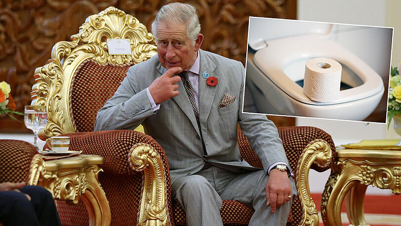 Prinz Charles spricht über den "royalen Thron" und klärt das Klobrillen-Gerücht auf.