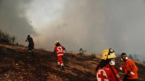 Tausende Feuerwehrleute sind in Griechenland im Einsatz.