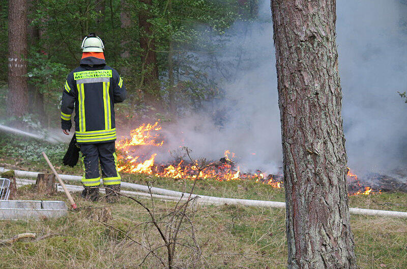 Bis tief in die Nacht kämpften die Feuerwehren gegen den Waldbrand bei Alzenau.