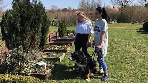 2025 ist Schluss: der Tierfriedhof in Obermenzing.