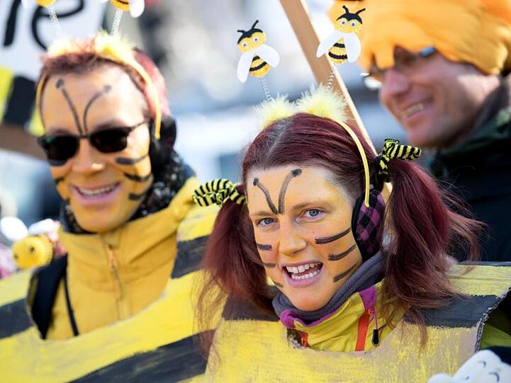 Teilnehmer einer Demonstration stehen als Bienen verkleidet vor dem Landtag. Foto: Sven Hoppe/Archiv