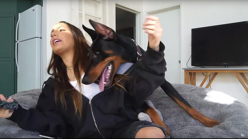 Brooke Houts und ihr junger Dobermann Sphinx.