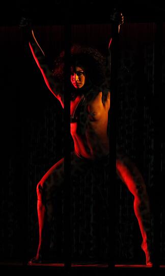 "Crazy Horse Cabaret" begeistert weltweilt mit seiner heißen Show.